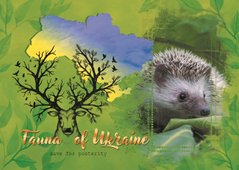 Fauna of Ukraine. Hedgehog