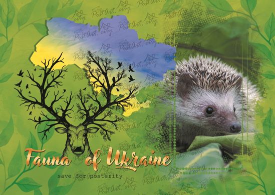 Fauna of Ukraine. Hedgehog