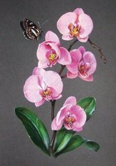 Орхідея з метеликом