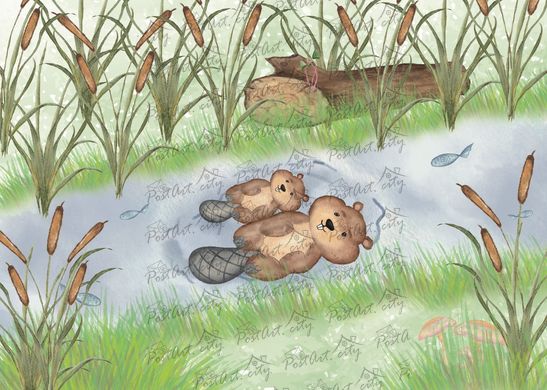 Beavers (2)