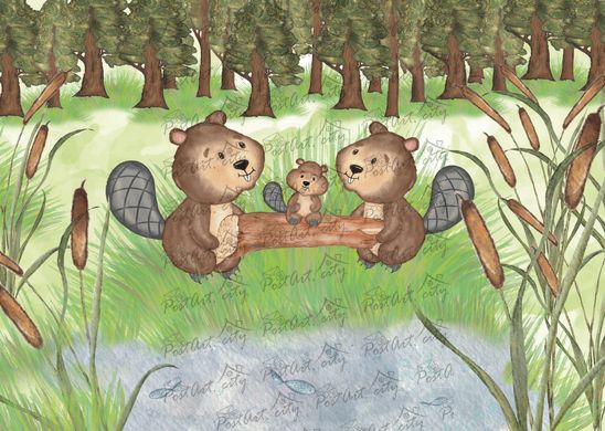 Beavers (3)