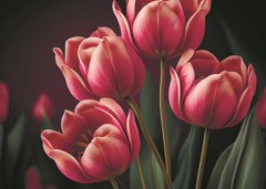 Tulips (23-8)