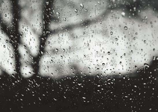 Rain (f)