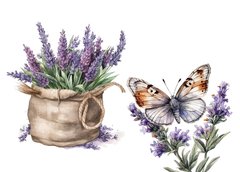 Lavender mood (23-5)