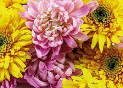 "Autumn Flowers" Greeting Card (26-1)