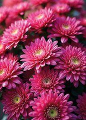 "Autumn Flowers" Greeting Card (26-2)