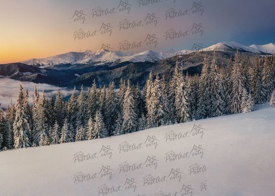 Carpathians. Winter (2)