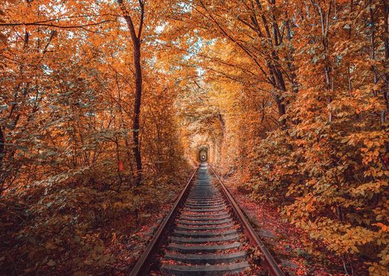 Tunnel of love. Autumn