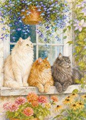 Листівка "Життя котика" (26-28)