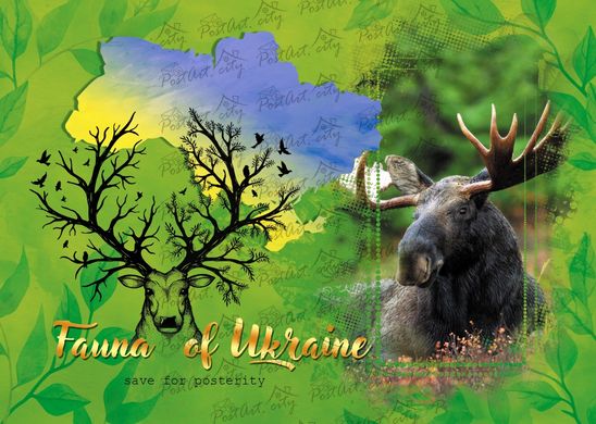 Fauna of Ukraine. Elk