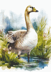 Goose (24-1)