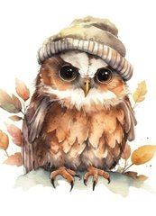 Owl (23-5)