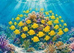 "Sea Creatures" Postcard (26-3)