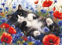 "A Cat's Life" Postcard (26-49)
