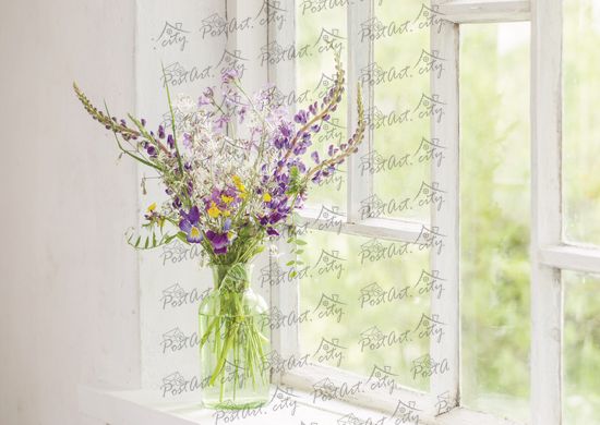 Flowers on the windowsill (2)