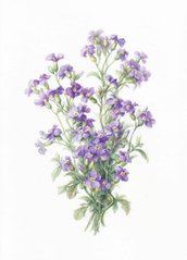 "Flowers by Nataliia Zabolotska" Postcard