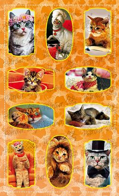 Stickers Cats (1)