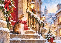 Листівка "Життя котика" (26-111)