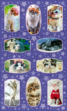 Stickers Cats (2)