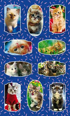 Stickers Cats (3)