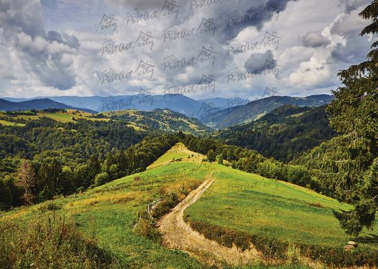 Carpathians (10)