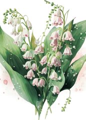 Lilies of the valley (23-3)