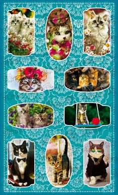 Stickers Cats (4)