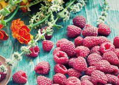 Postcard "Raspberry Miracle" (26-5)