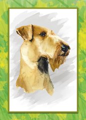 Airedale Terrier 4