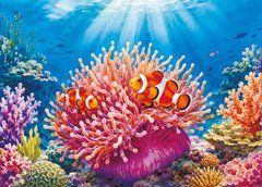"Sea Creatures" Postcard (26-9)