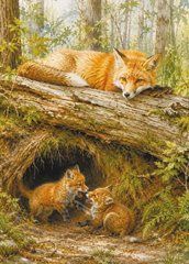 Postcard "Ukrainian Forest" (26-20)
