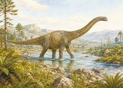 "Dinosaur" Postcard (26-7)
