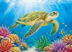 "Sea Creatures" Postcard (26-10)