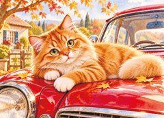Листівка "Життя котика" (26-97)