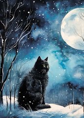 Cat in the night (5)