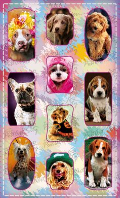 Stickers Dogs (4)