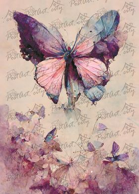 Butterflies (23-1)