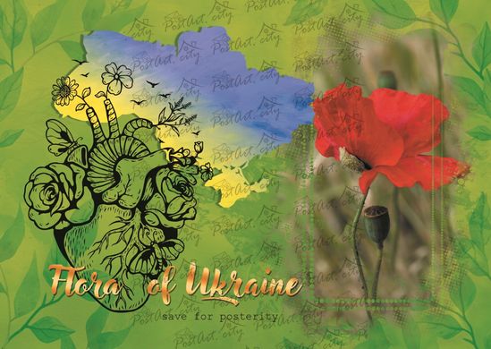 Flora of Ukraine. The poppy is wild