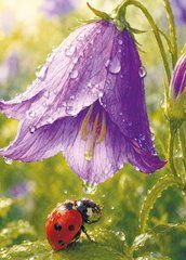 Postcard "Morning Shower"