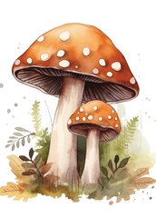 Mushrooms (23-10)