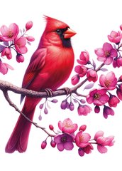 Spring. Birds (24-3)
