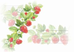 Envelope Strawberries