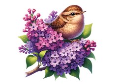 Spring. Birds (24-4)