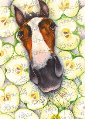 A horse in apples