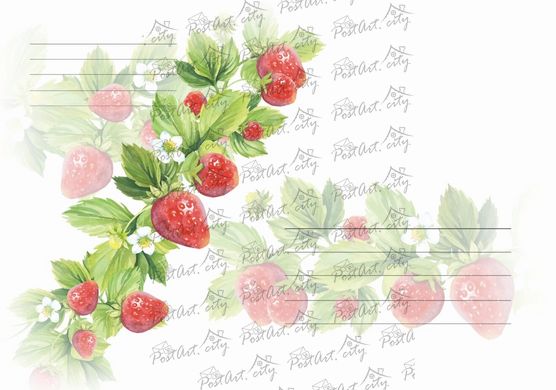 Envelope Strawberries
