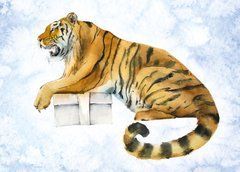 Tiger (a-16)