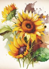 Sunflower (23-3)