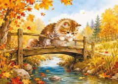 "A Cat's Life" Postcard (26-62)