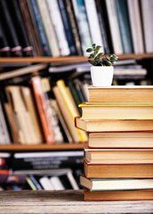 Листівка &laquo;Книги&raquo; (26-7)