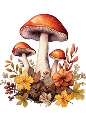 Mushrooms (23-27)
